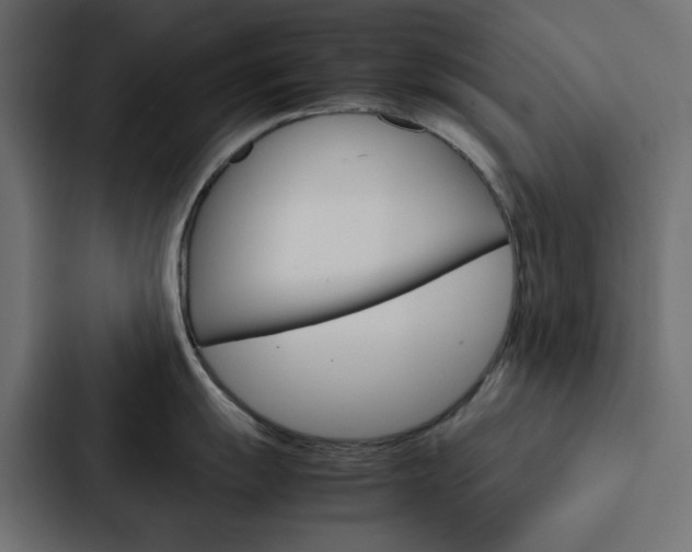 X0000088231055200705151045