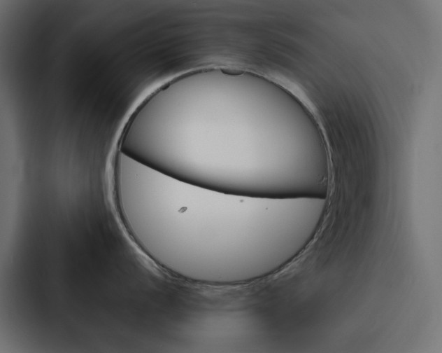 X0000088231056200705151045