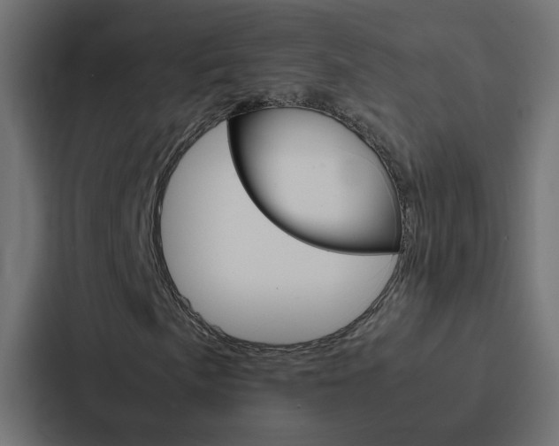 X0000088231057200705151044