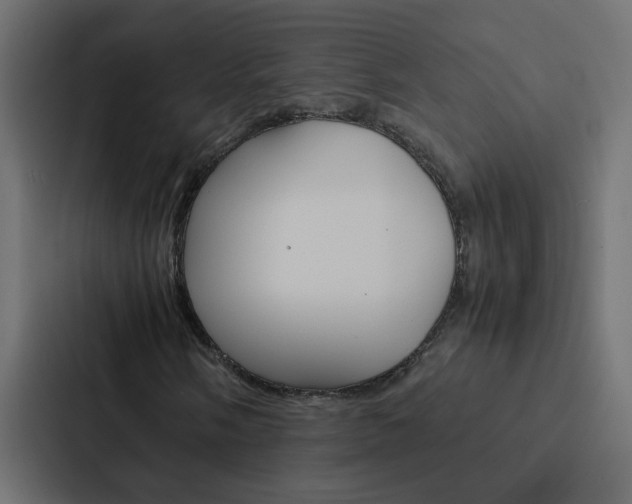 X0000088231058200705151044