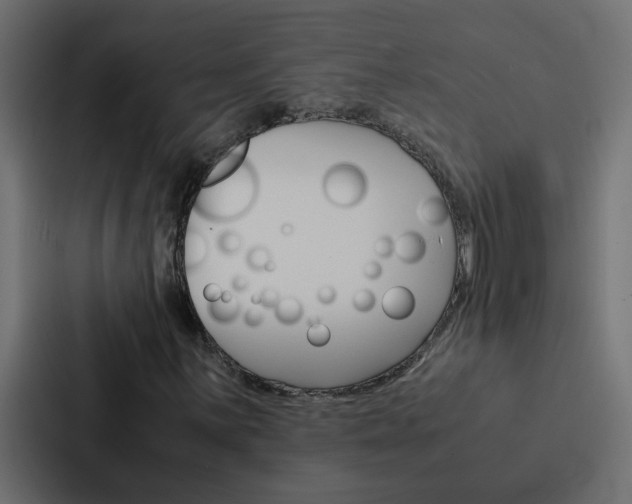X0000088231059200705151044