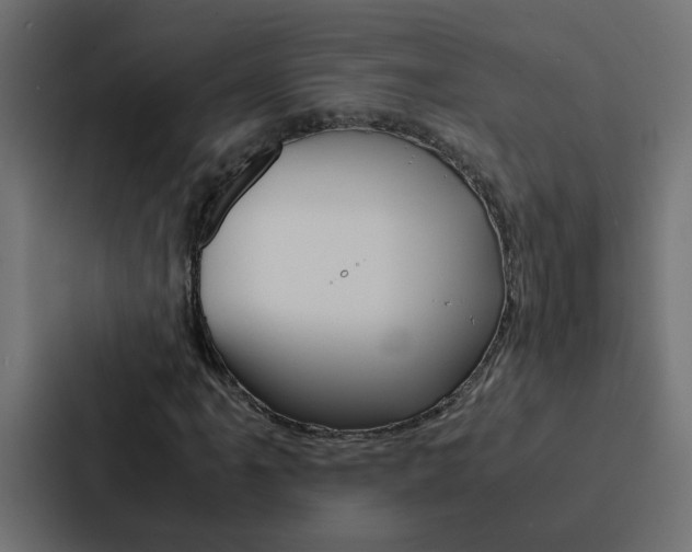 X0000088231061200705151044