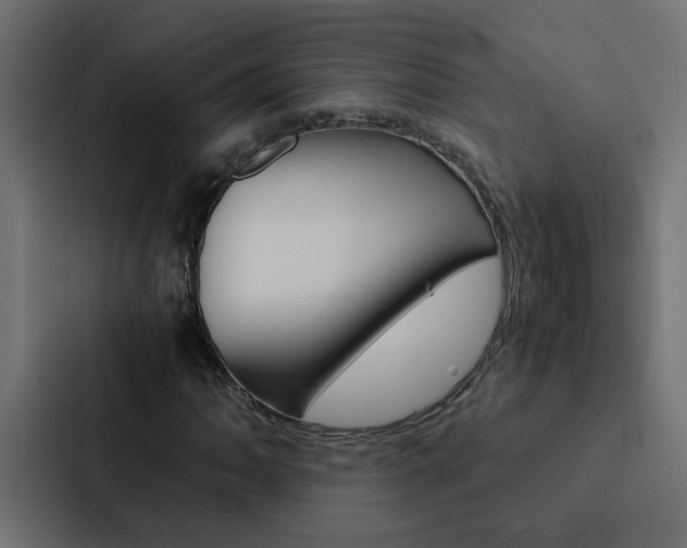 X0000088231062200705151044