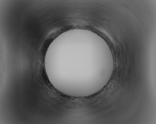X0000088231063200705151044