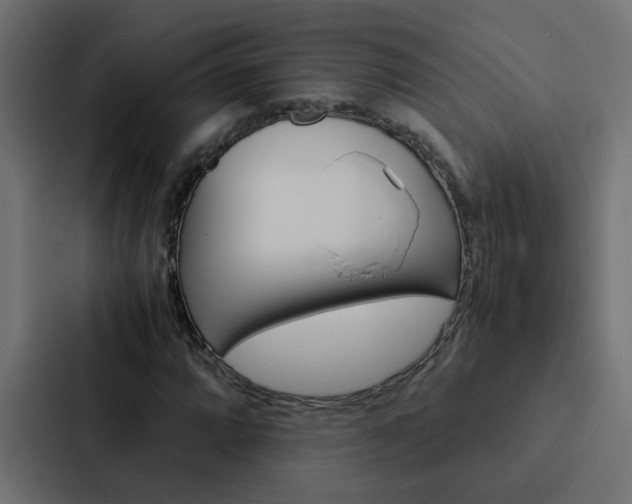 X0000088231064200705151044