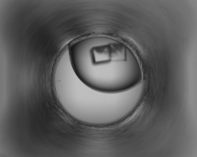 X0000088231065200705151044