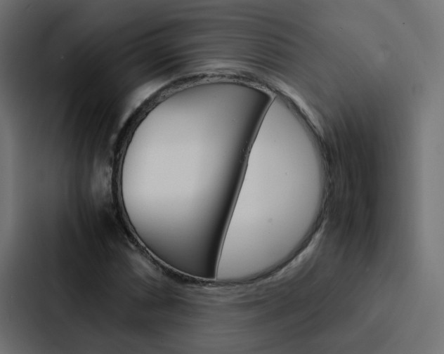 X0000088231066200705151044