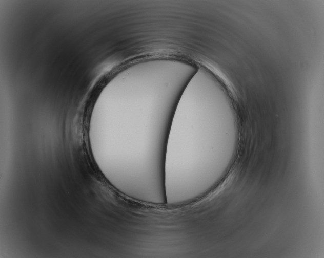 X0000088231067200705151044