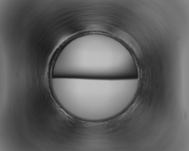 X0000088231068200705151044
