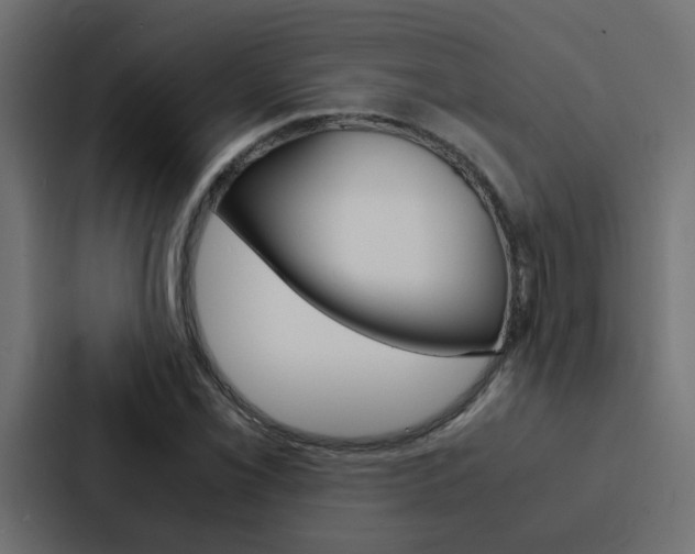 X0000088231069200705151044