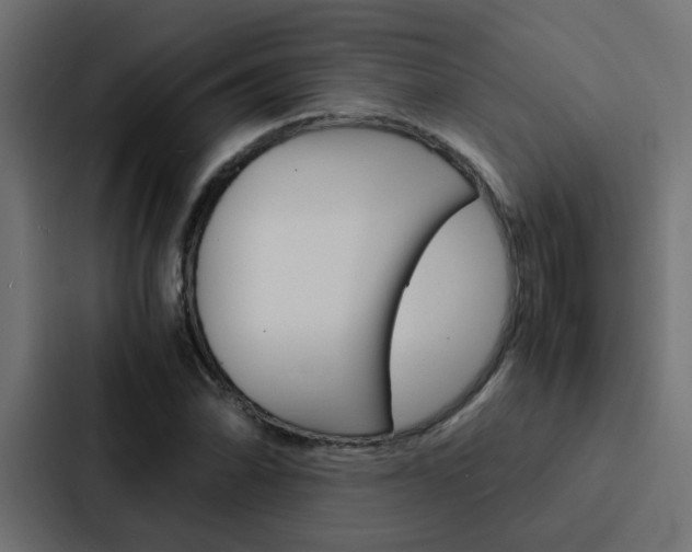 X0000088231070200705151044