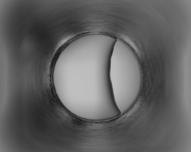 X0000088231071200705151044