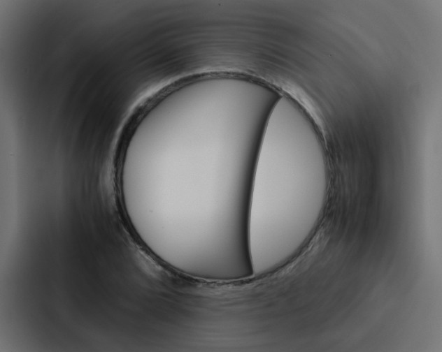 X0000088231072200705151044