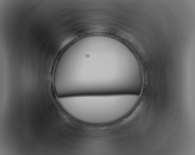 X0000088231073200705151044