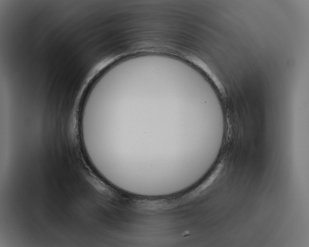 X0000088231074200705151044