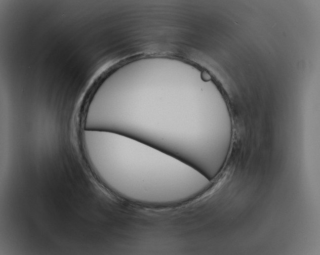 X0000088231075200705151044