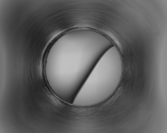 X0000088231076200705151044