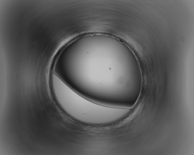 X0000088231077200705151044