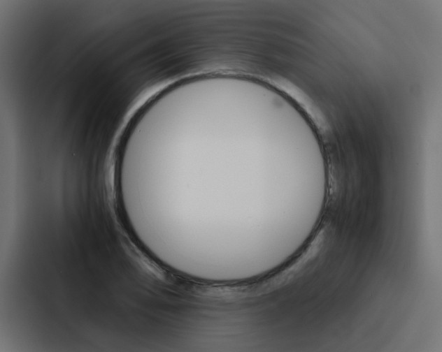 X0000088231078200705151044