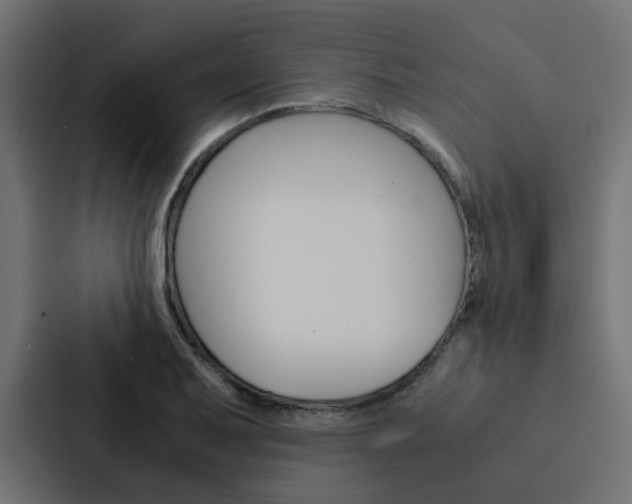 X0000088231079200705151044