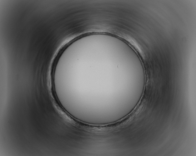 X0000088231080200705151044