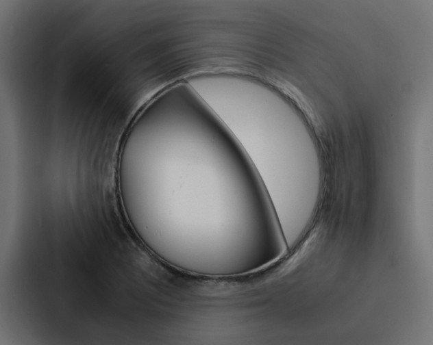 X0000088231081200705151044