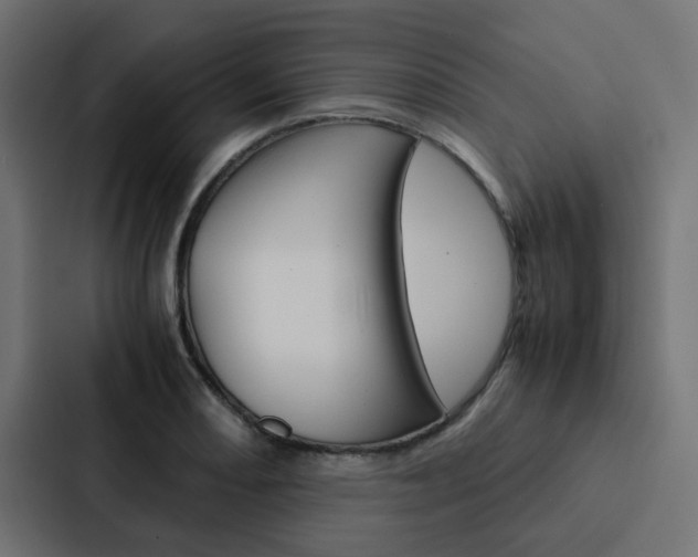 X0000088231082200705151044