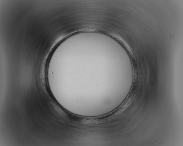 X0000088231083200705151044