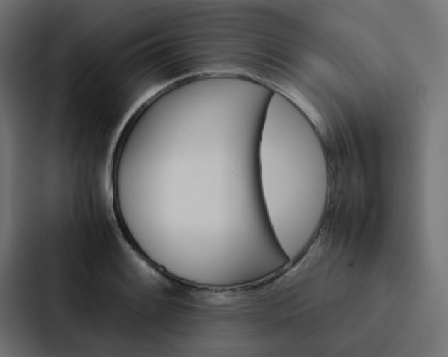 X0000088231084200705151044
