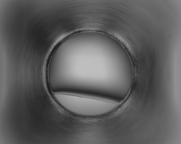 X0000088231085200705151044