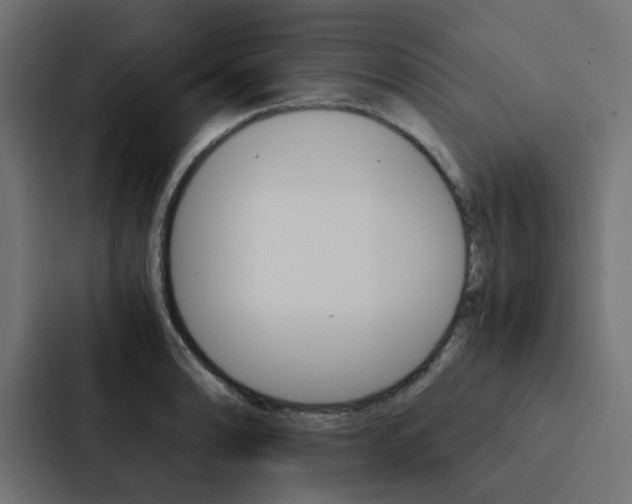 X0000088231086200705151044