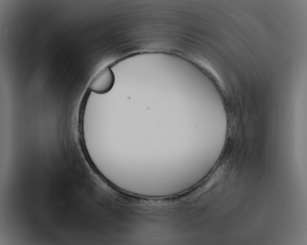 X0000088231087200705151044