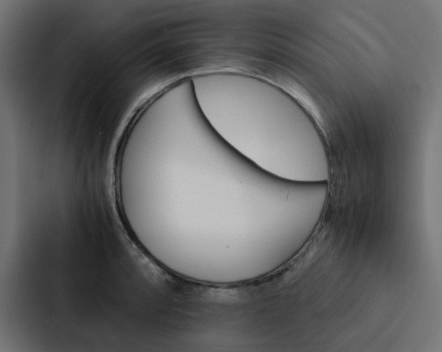 X0000088231088200705151044