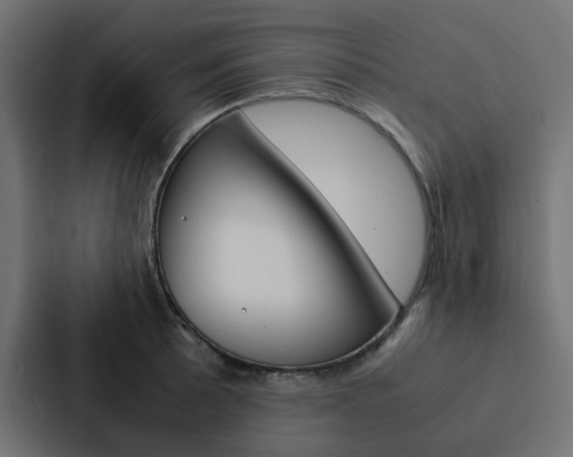X0000088231089200705151044