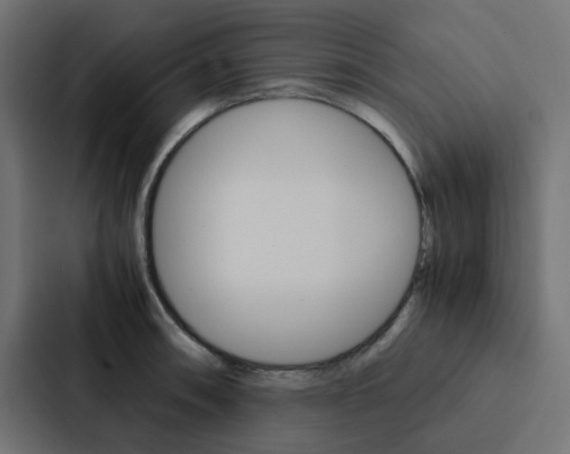 X0000088231090200705151044