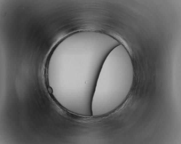 X0000088231091200705151044