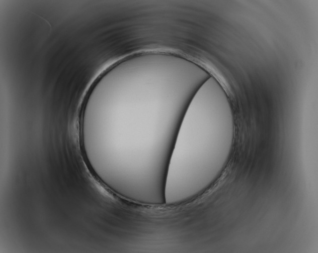 X0000088231092200705151044