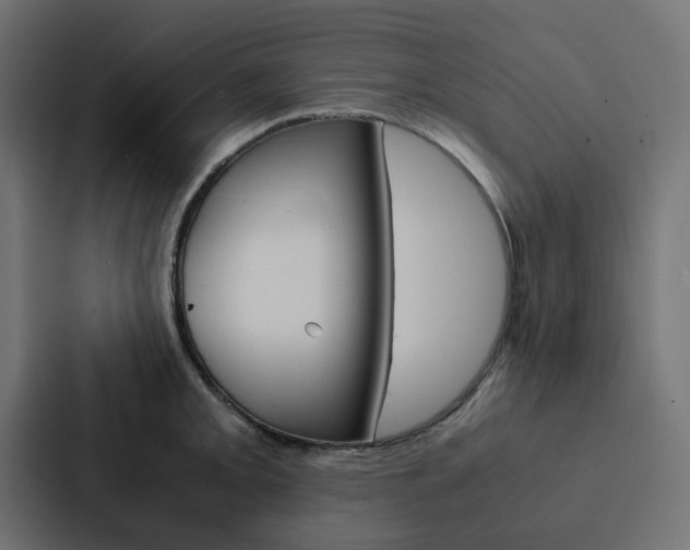X0000088231093200705151044