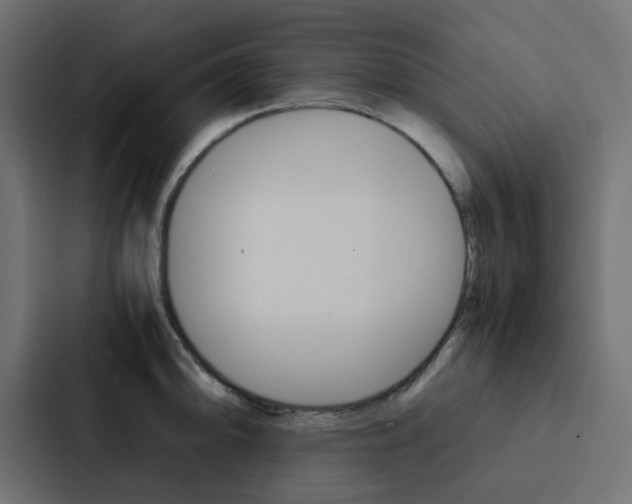 X0000088231094200705151044
