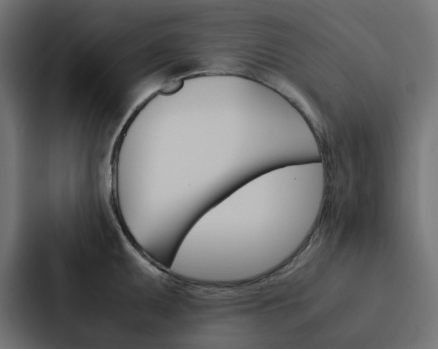 X0000088231095200705151044