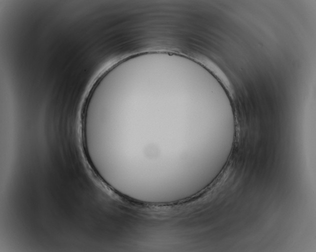 X0000088231096200705151044