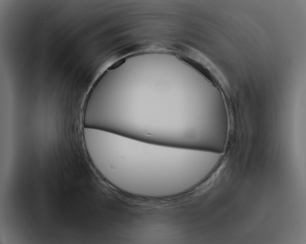 X0000088231097200705151044
