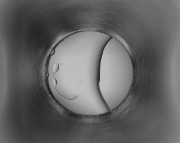 X0000088231099200705151044