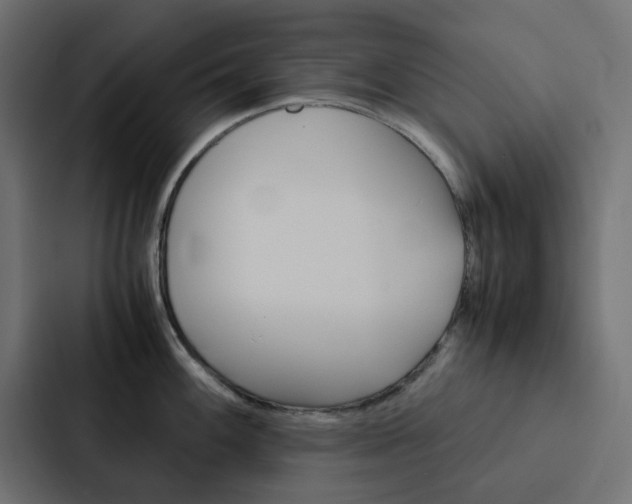 X0000088231100200705151044