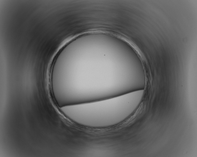 X0000088231101200705151044