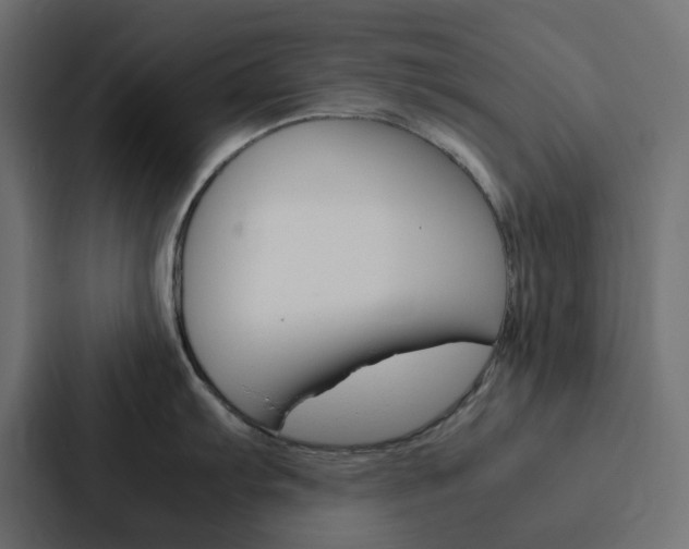 X0000088231103200705151044