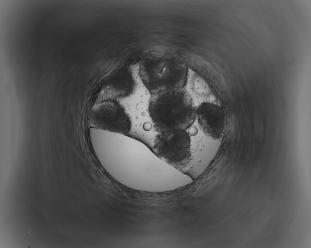 X0000088231105200705151043