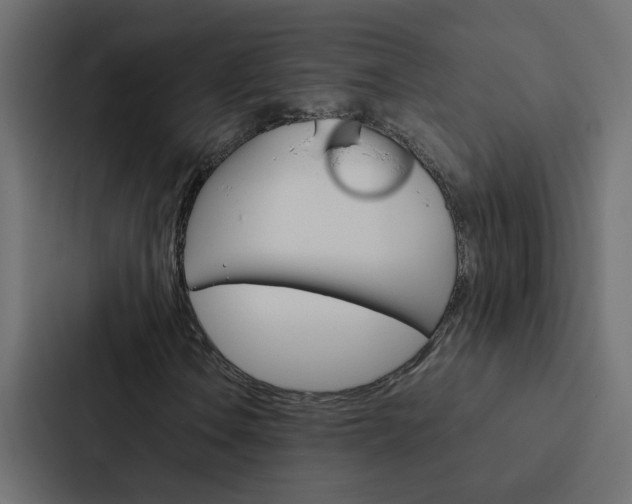 X0000088231106200705151043