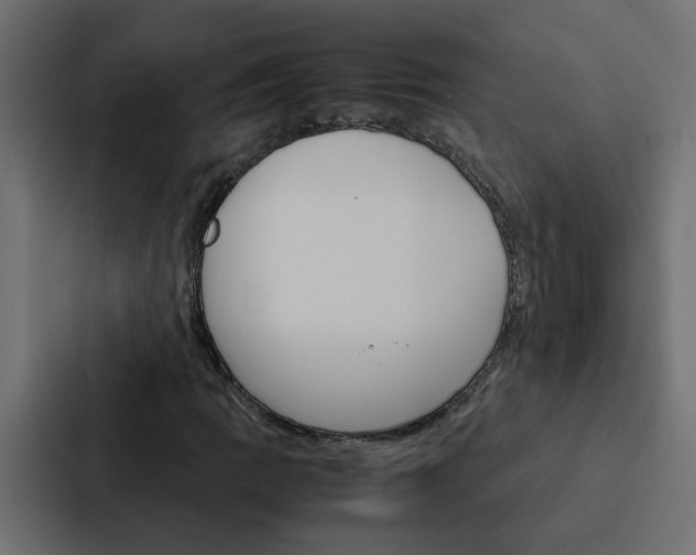 X0000088231109200705151043
