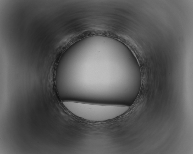 X0000088231110200705151043